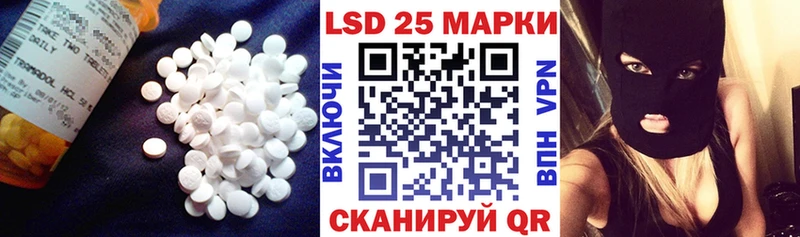 МЕГА зеркало  купить наркотики сайты  Шелехов  Лсд 25 экстази ecstasy 