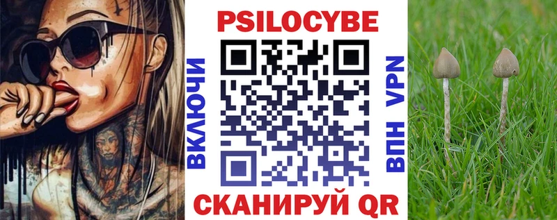 Псилоцибиновые грибы Psilocybe  где купить наркотик  Шелехов 